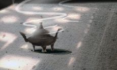 九月能遇到合心仪另一半的星座