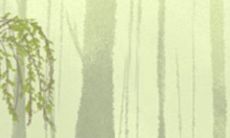 面相图解：女人招风耳的说法