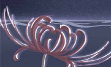 面相额头的命运解析