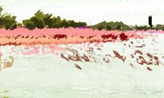 水瓶座对婚姻有啥想法?