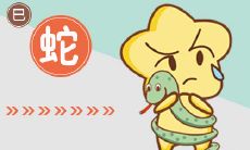 漂亮与能力二者兼备的生肖女