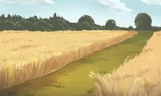 双鱼座女孩子正确的生活方式