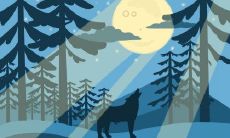 风水八字详解:破军在夫妻宫