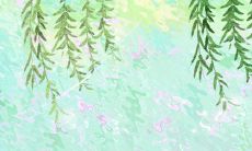 8月12日生日花:苦苣,生日花语武装