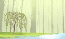 3月15日花语:款冬蒲公英,生日花语早熟