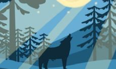 12星座最强本领是什么?