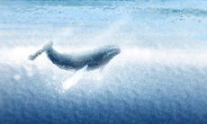 十二星座男里谁最宠老婆？