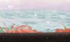 揭示双11双鱼座“脱光”大忌