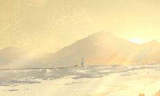 2月3生日花:泥炭藓,生日花语清冽