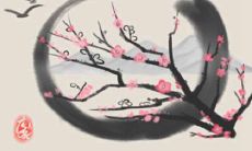 加强你恋爱桃花运的食物