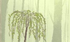 盘点白羊座最爱看的综艺节目