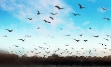 去哪嗨了?摩羯男周末都去哪儿了