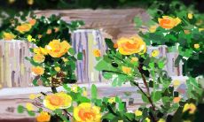 张盛舒2015年3月属虎运势