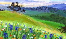 双鱼女为啥胖得没了马甲线?