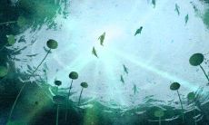 治愈强迫症的100张图片,看完整个人都美好了