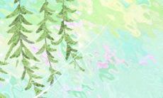 解析:眼皮跳的真正含义