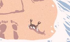 同时生,命运为何大不同?