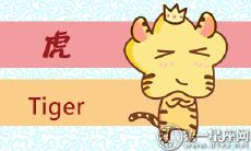 属虎分别代表了哪个菜系