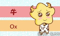 属牛分别代表了哪个菜系