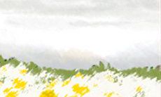 揭秘水瓶座易与人结怨指数