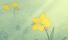 时辰五行对照表