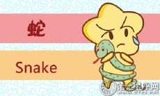 属蛇分别代表了哪个菜系