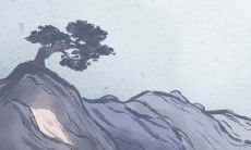 紫萼花语:思念、浪漫、喜悦