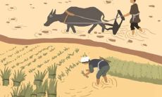 什么花的花语是配角,你知道吗