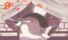 5月18日花语:山柳兰,生日花语野心