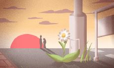 天女花的花语:勤劳、善良