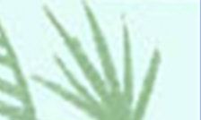 属猴的今年多大