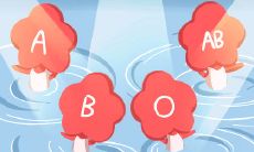 血型漫画：A型血之间的协同效应