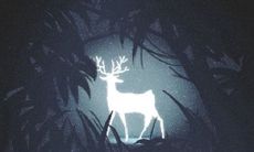 血型漫画：各血型君如何整理房间