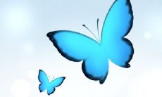 血型星座解读:白羊座B型血的事业与财运