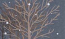 天秤座女生异性缘爆棚法