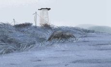 十二生肖乙未年农历十一月感情运