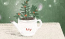 十二星座结婚的意义