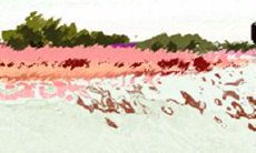 谁最适合水瓶男