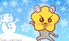 脾气超好从来不会急眼的生肖