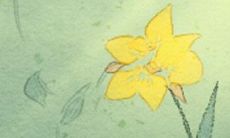 印堂是哪里？印堂的位置图解