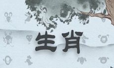 属虎男生这样做，便可以俘虏少女心