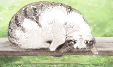 属兔坏在哪里,你喜欢这一款?