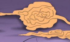 12星座打LOL时的表现，太好笑了！