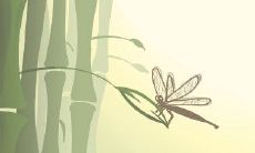 结婚后几年你才能买得起房子