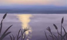 12星座中哪些星座有拖延症