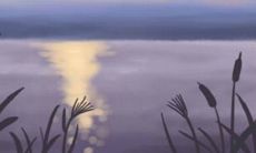 12星座羊年应该如何转运