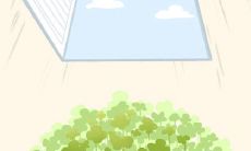 家长必知:可以提高学生成绩的风水布局