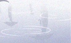 狮子座女生如何偷偷走进你心扉