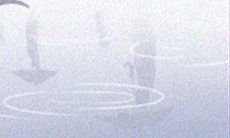 金牛座如何女生偷偷走进你心扉