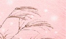 十二星座女生谁是小辣妈